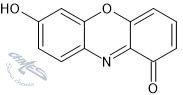 7-hydroksyfenoksazon chromofor- barwników obecnych w lakmusie